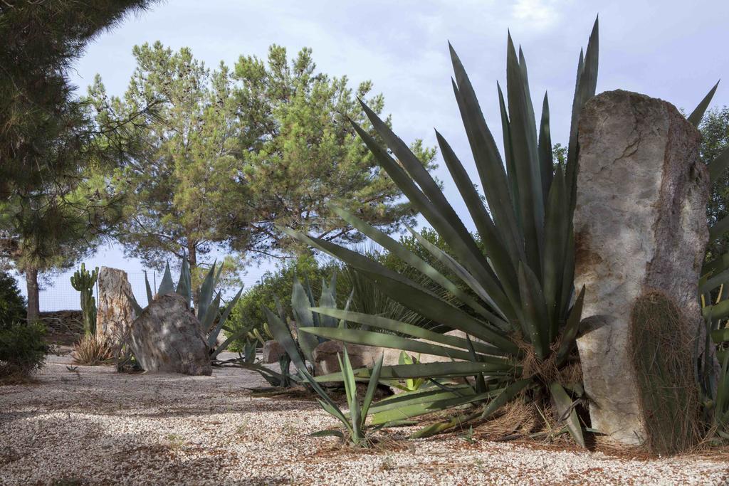 Sardegna - Villa Con Parco E Piscina A Carloforte Exterior photo